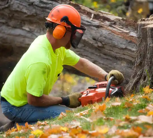 tree services Brilliant